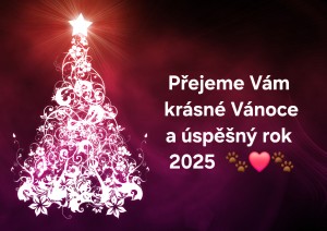 vanoce-2024-web.jpg
